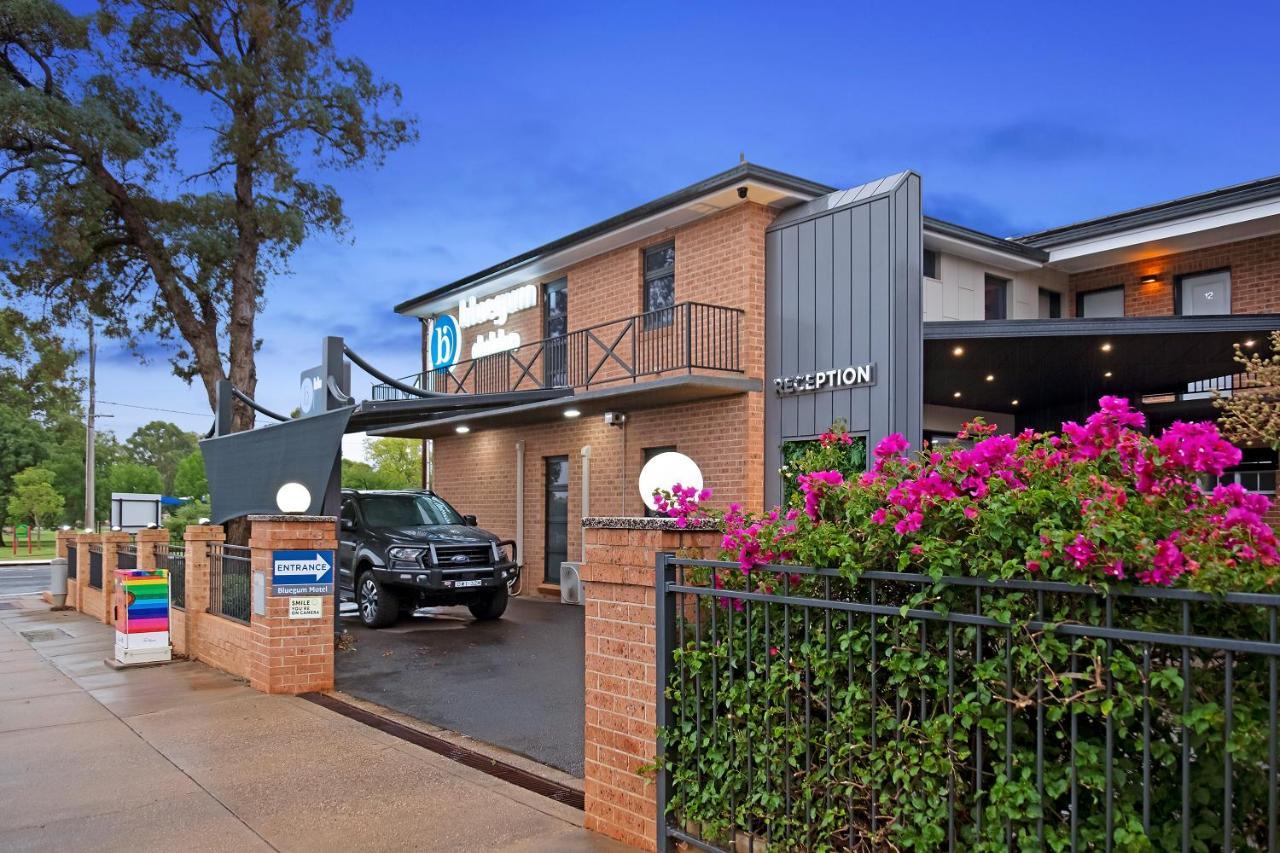 Motel Bluegum Dubbo (Adults Only) Zewnętrze zdjęcie